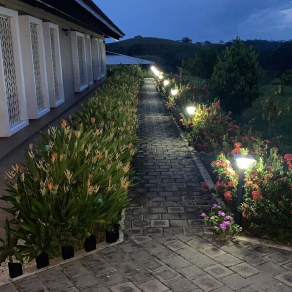 jardinera solar