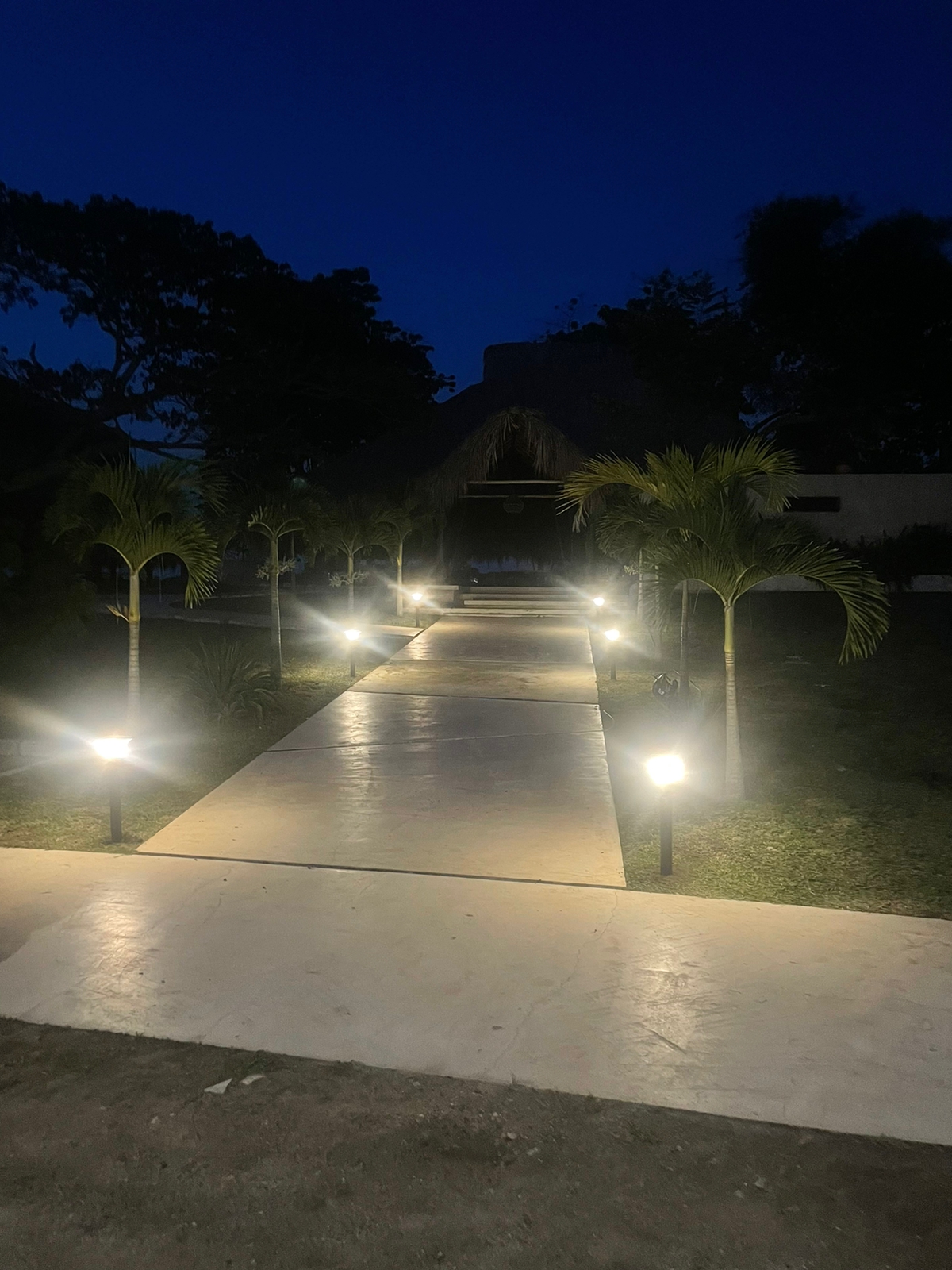 jardineria solar