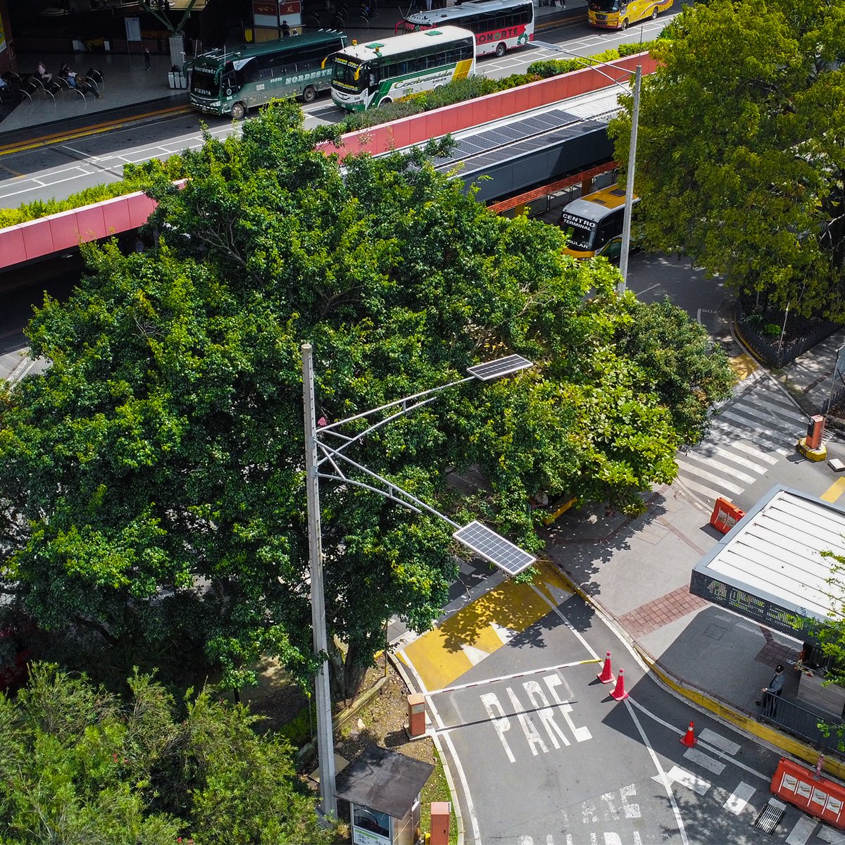 integra 100 integra 100