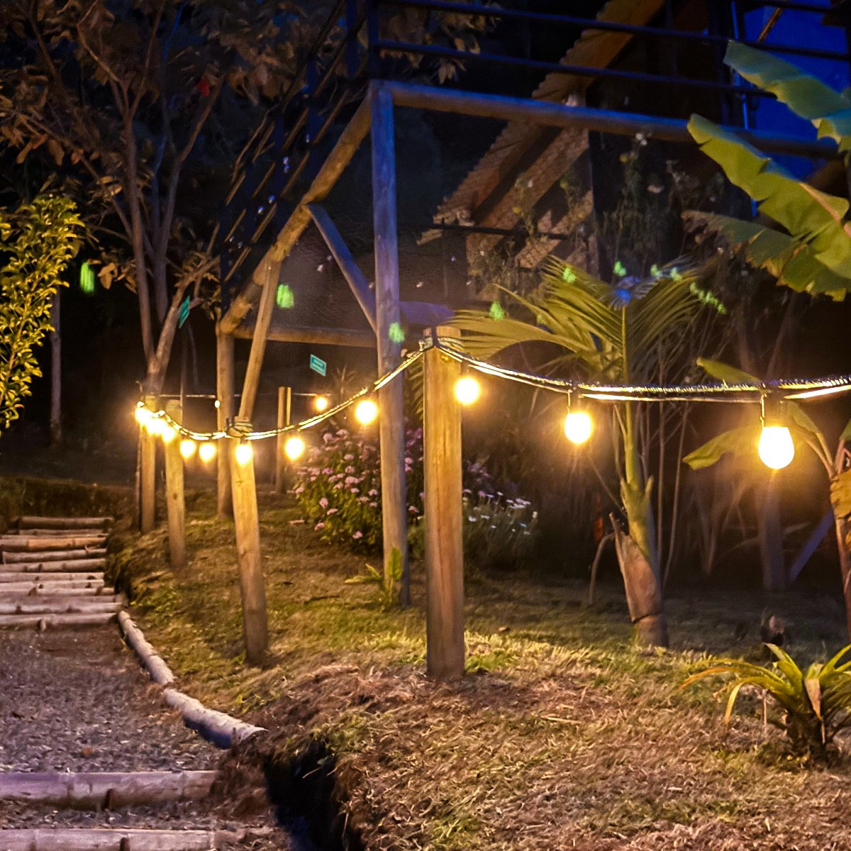 vintage 20 m vintage 20 m