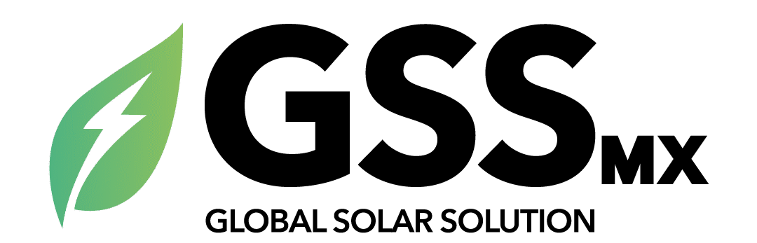 gss méxico logo nov 2025