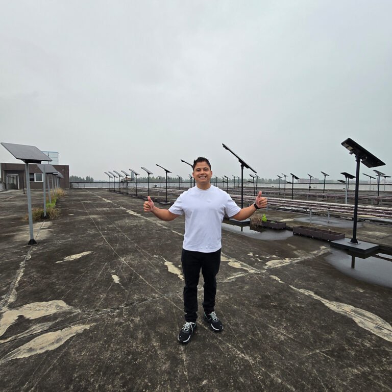 About prueba lamparas china