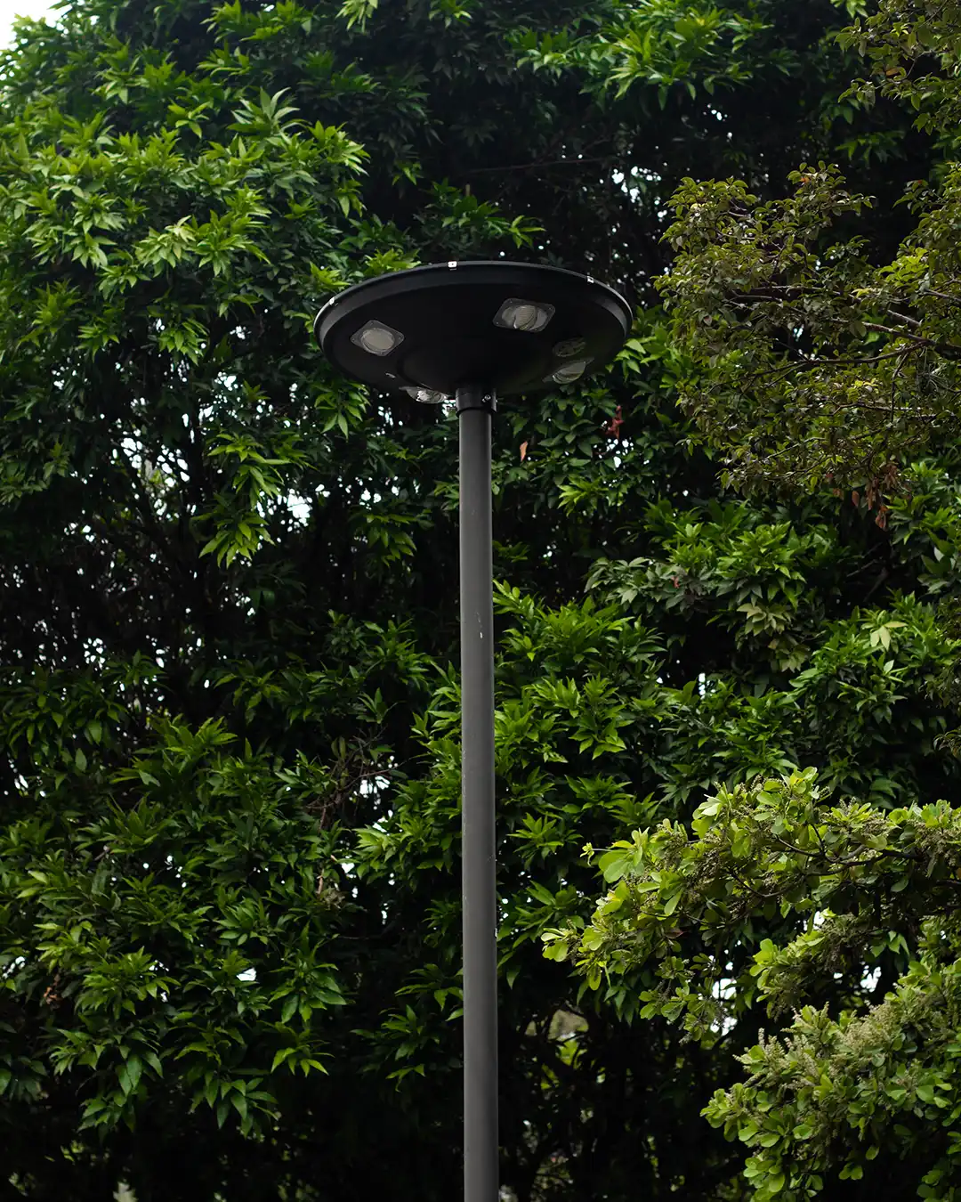 Iluminación solar para parques lámapara solar ufo en parque